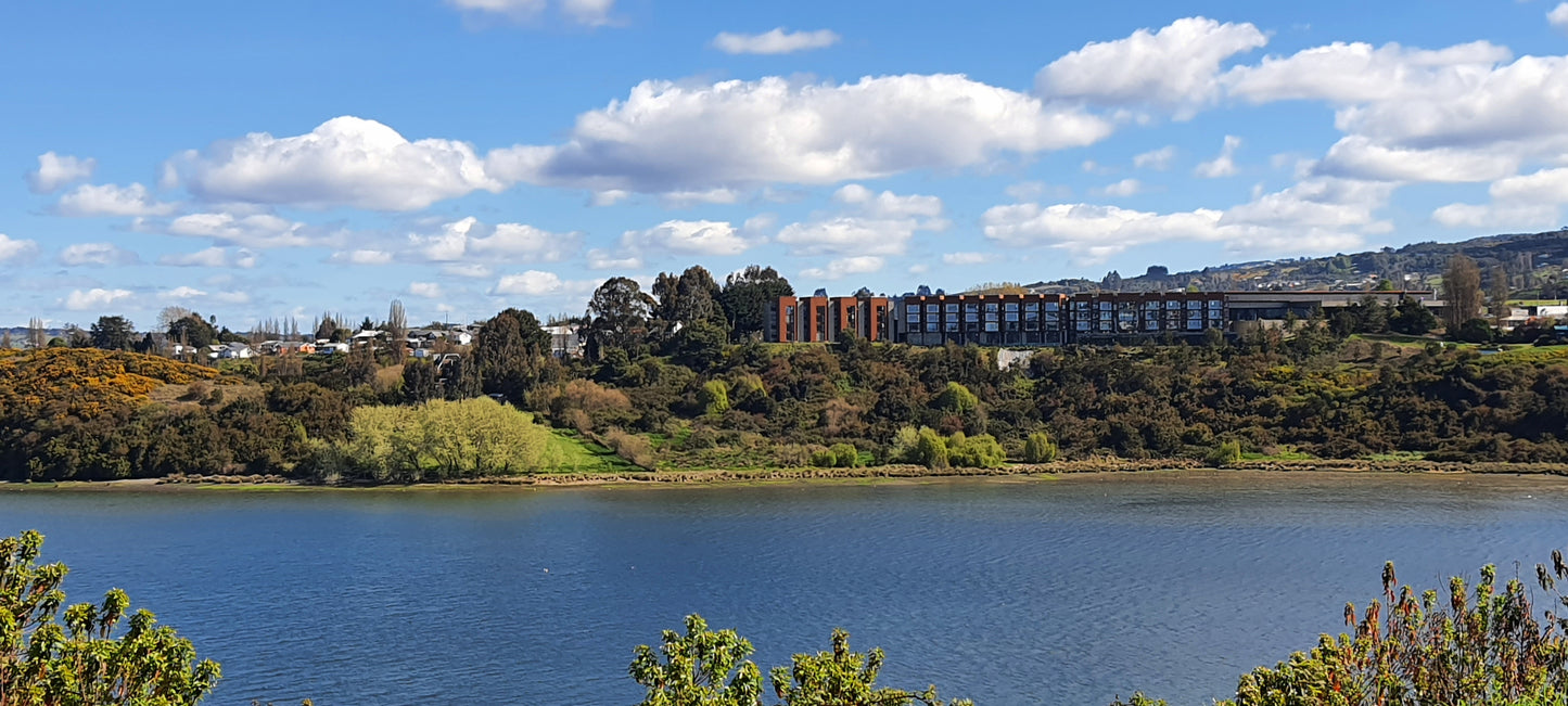 Copia de Copia de Copia de vive